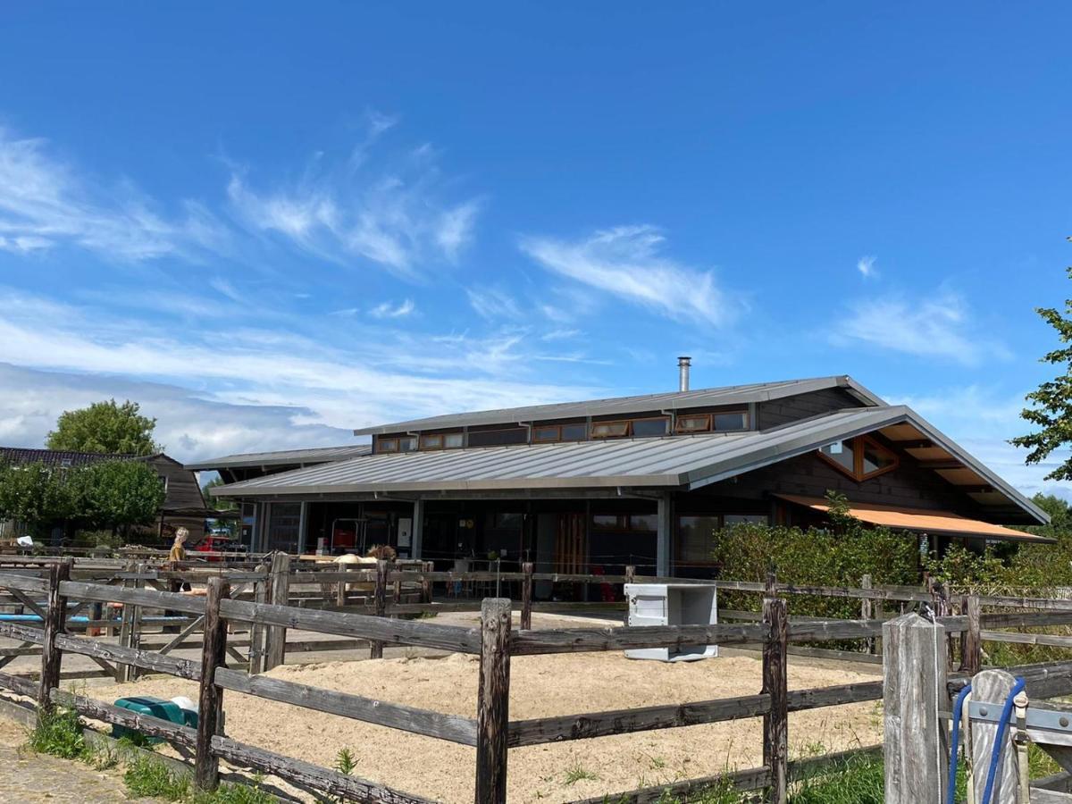 Hestar Husid, Het Luxe Paardenhuis *