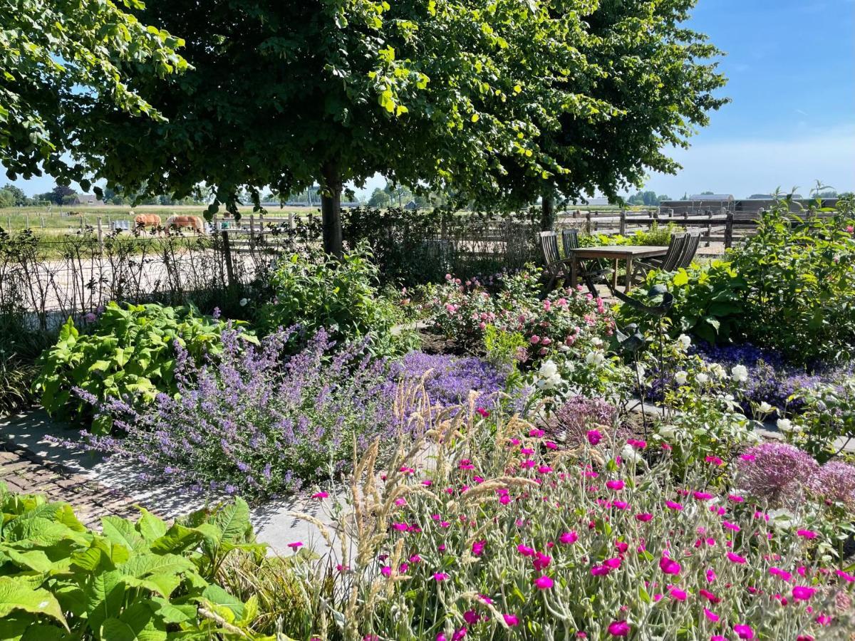 Hestar Husid, Het Luxe Paardenhuis Weesp