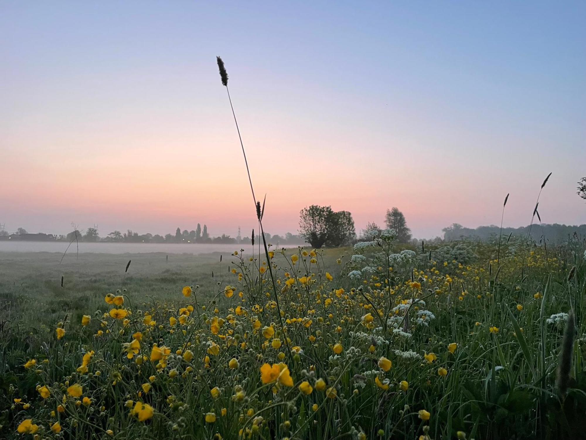 Hestar Husid, Het Luxe Paardenhuis Holiday home Weesp