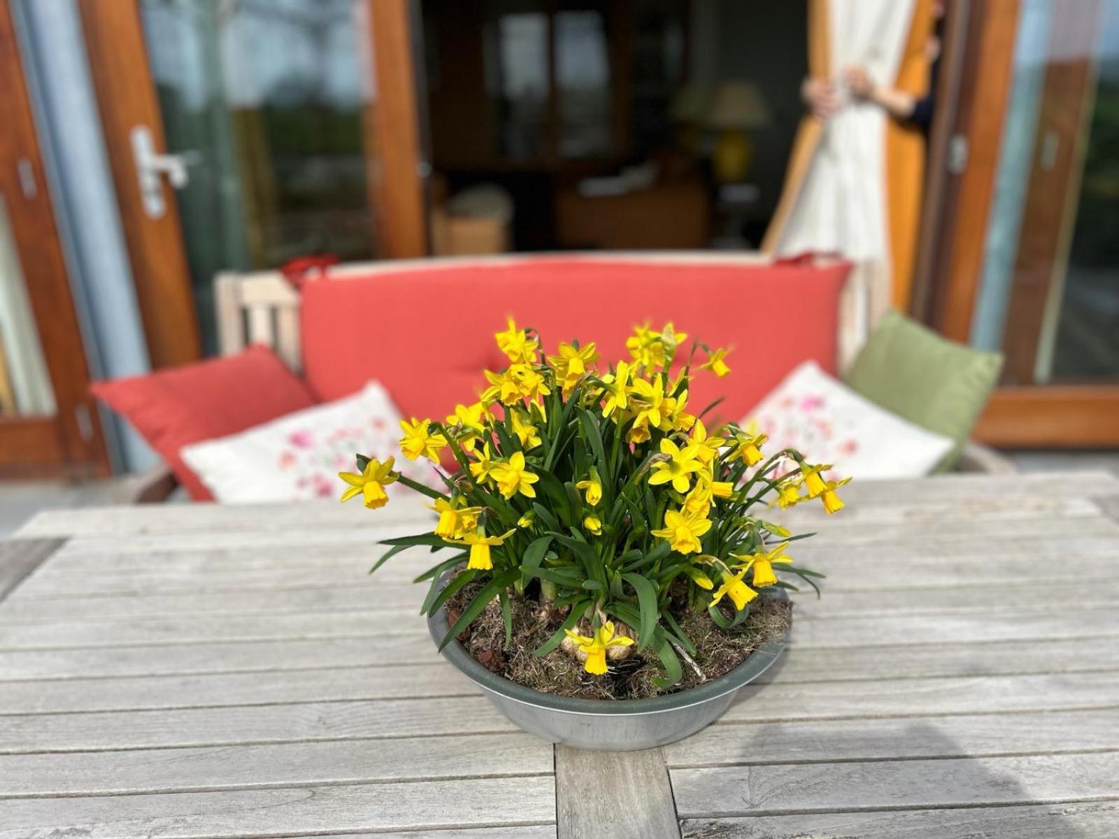 Holiday home Hestar Husid, Het Luxe Paardenhuis Weesp