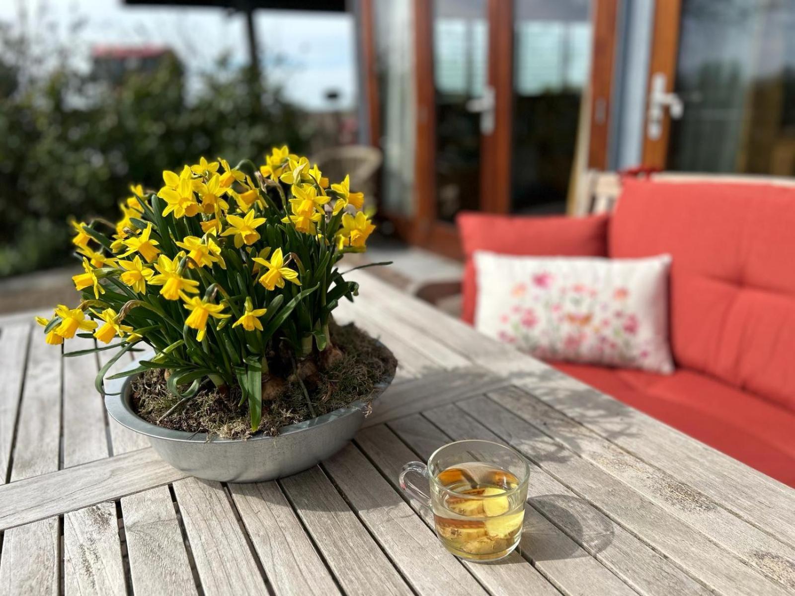 Hestar Husid, Het Luxe Paardenhuis Holiday home Weesp